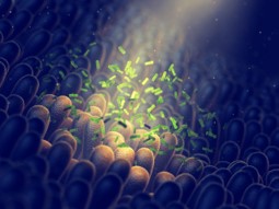 La neurotoxine dérivée des éosinophiles peut-elle être un marqueur fiable pour le diagnostic d’APLV ?